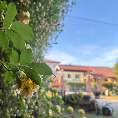 Bed & Breakfast Il Sogno Di Teba 3*