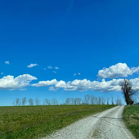 Il Sogno Di Teba