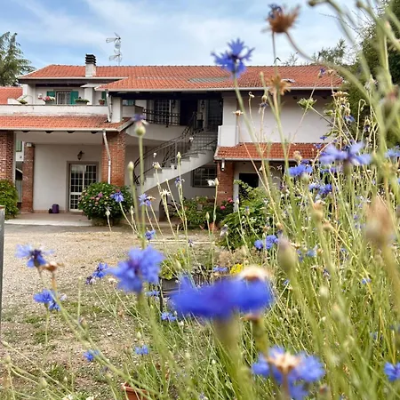 Bed & Breakfast Il Sogno Di Teba 3*
