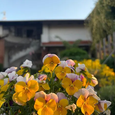 Bed & Breakfast Il Sogno Di Teba 3*
